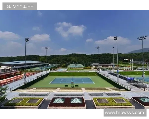 南京网球队状态分析与发展展望聚焦网球运动的未来与挑战