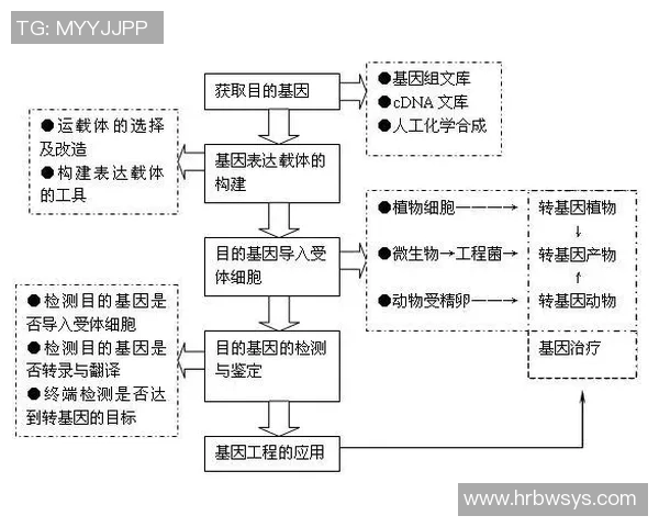 广州乒乓球队技术分析与表现评估的综合研究与探讨