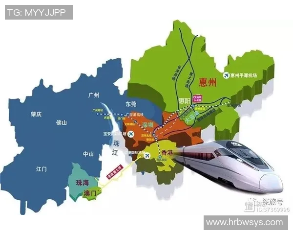 广州网球队的运营策略深度分析与发展前景展望