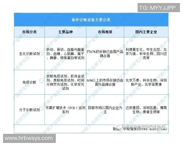 上海极限运动队状态全景解析及各队表现对比分析